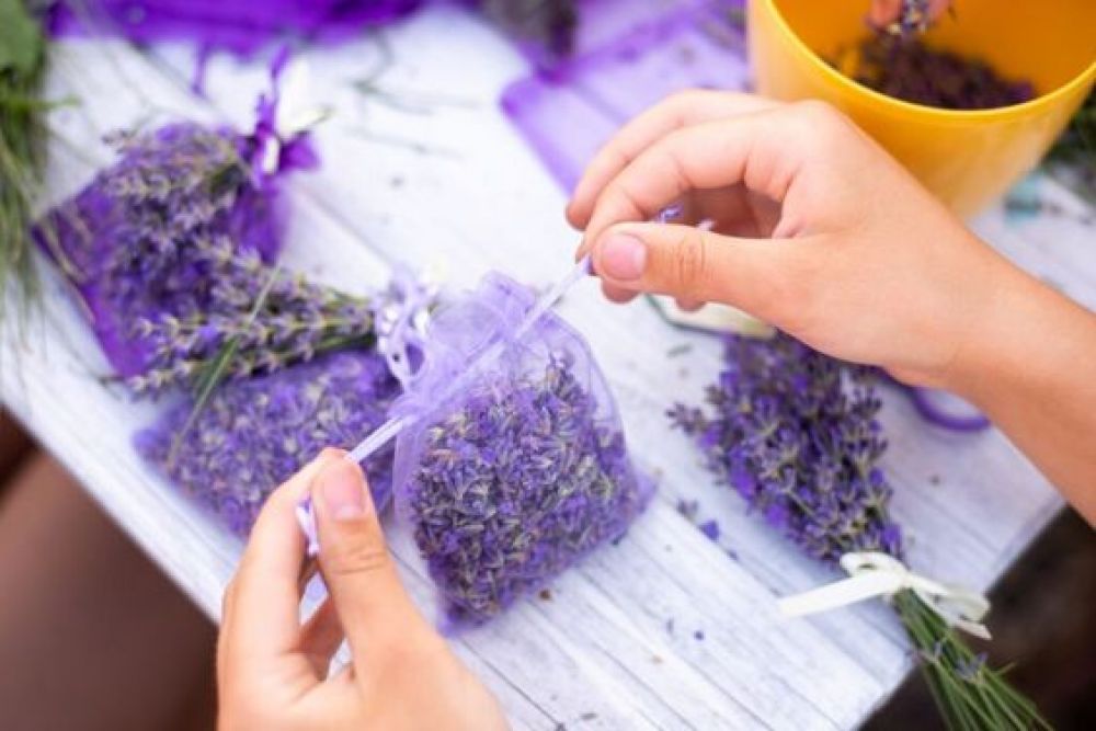 Laboratorio Creativo con la Lavanda a Milano e Bergamo